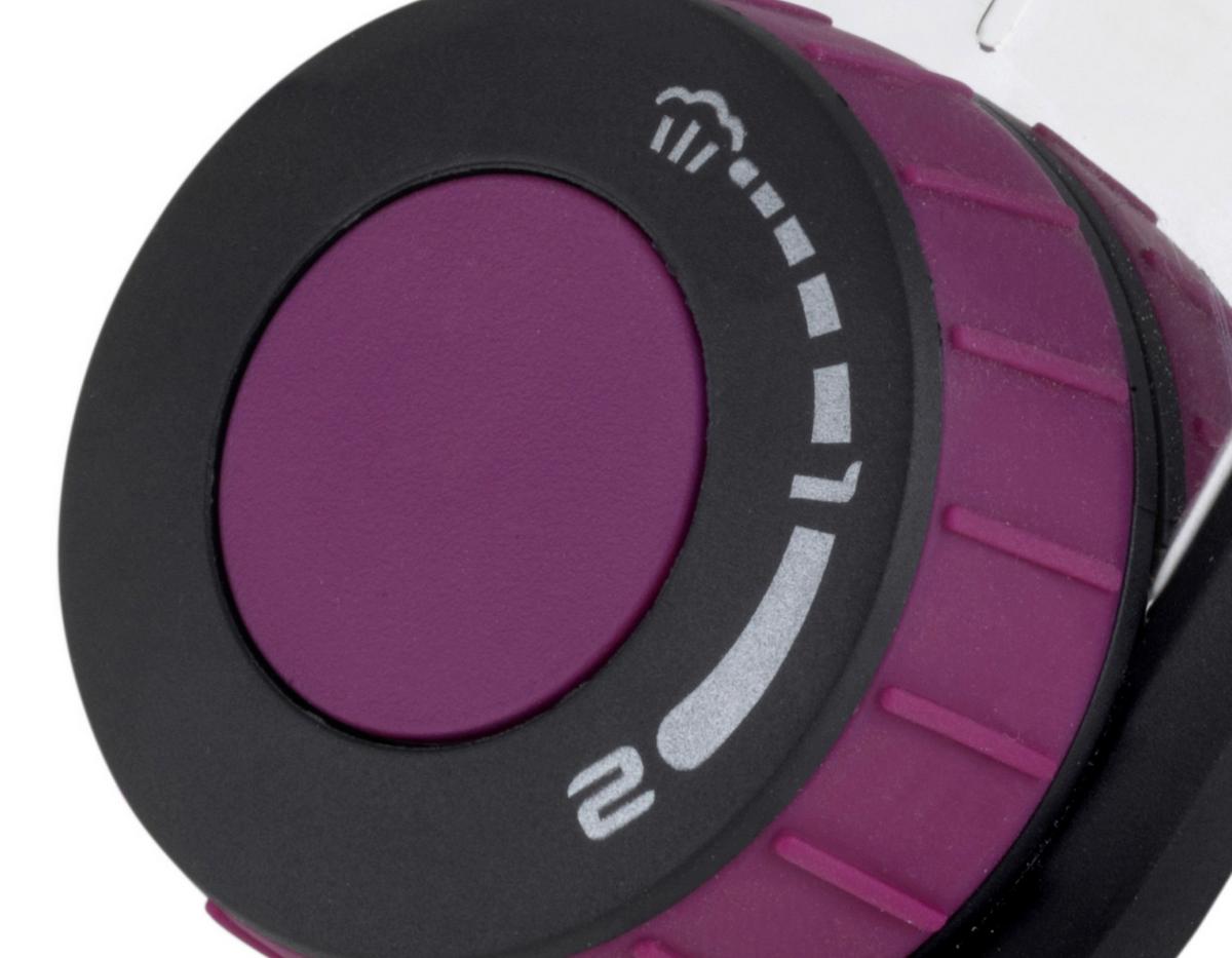 Schnellkochtopf Easy Click Edelstahl, 6 Liter - Edelstahlfarben, Basics, Metall (22cm) - GSW