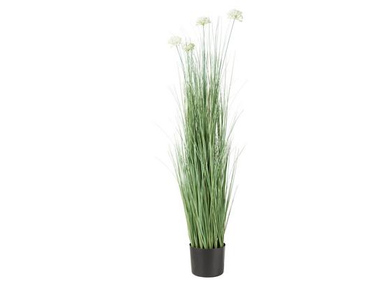 Rostlina Umělá Sina - bílá/zelená, Konvenční, kov/umělá hmota (13,7/120cm) - Mömax modern living Rostlina Umělá Sina - bílá/zelená, Konvenční, kov/umělá hmota (13,7/120cm) - Mömax modern living