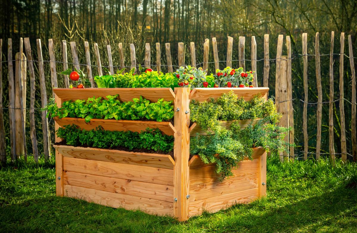 Hochbeet Echtholz Lärche 124x73x91 Cm Lärchefarben - Lärchefarben, Basics, Holz (124/73/91cm)