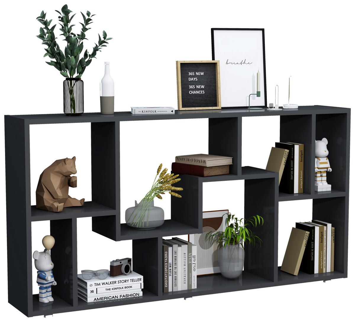 REGAL Lanisa Anthrazit B: 116 cm - Anthrazit/Silberfarben, Design, Holzwerkstoff (116/58/20cm) - MID.YOU