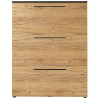 Schuhkipper Wildomar Eichefarben B: 100 Cm - Eichefarben/Graphitfarben, MODERN, Holzwerkstoff (100/129/19cm) - Germania