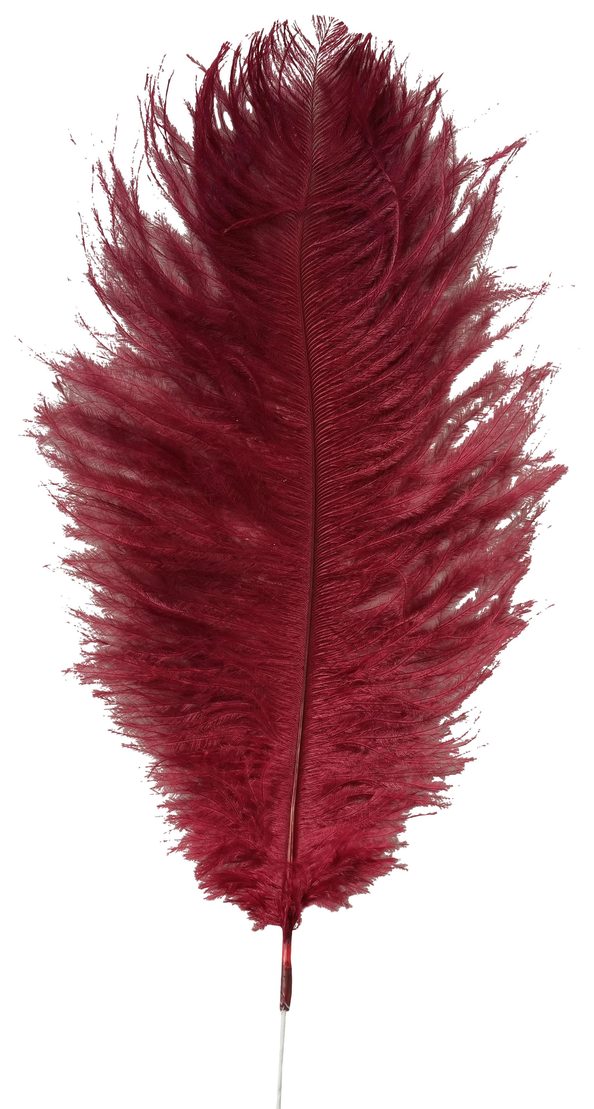Dekoračné Pierko V: 60cm - vínovočervená, Basics, prírodné materiály (12/60cm) - Modern Living