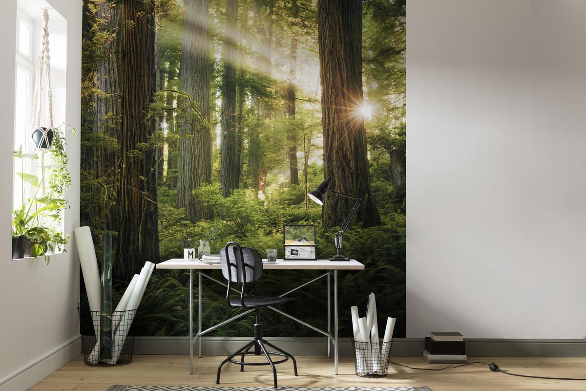 Fototapete Goblins Woods - Grün, Trend, Textil (250/280cm)