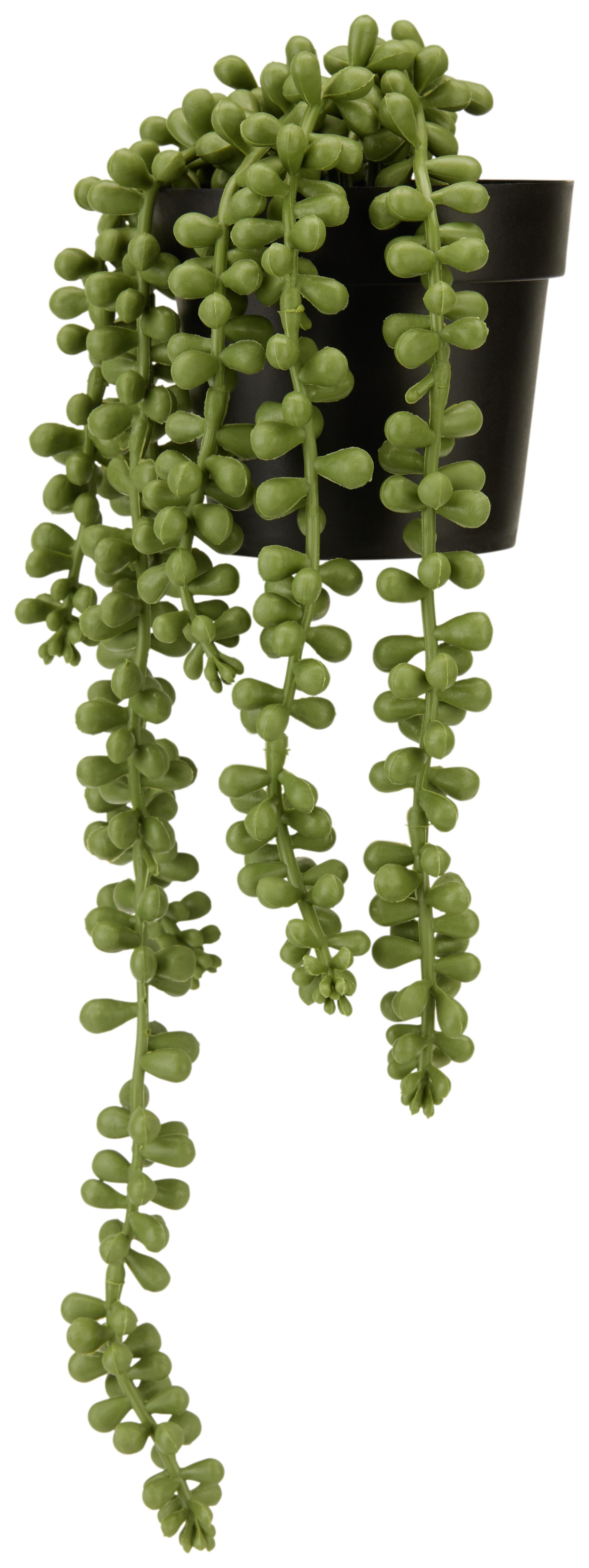 Kunstblumen CASIMIR Sedumhänger aus Kunststoff in Grün