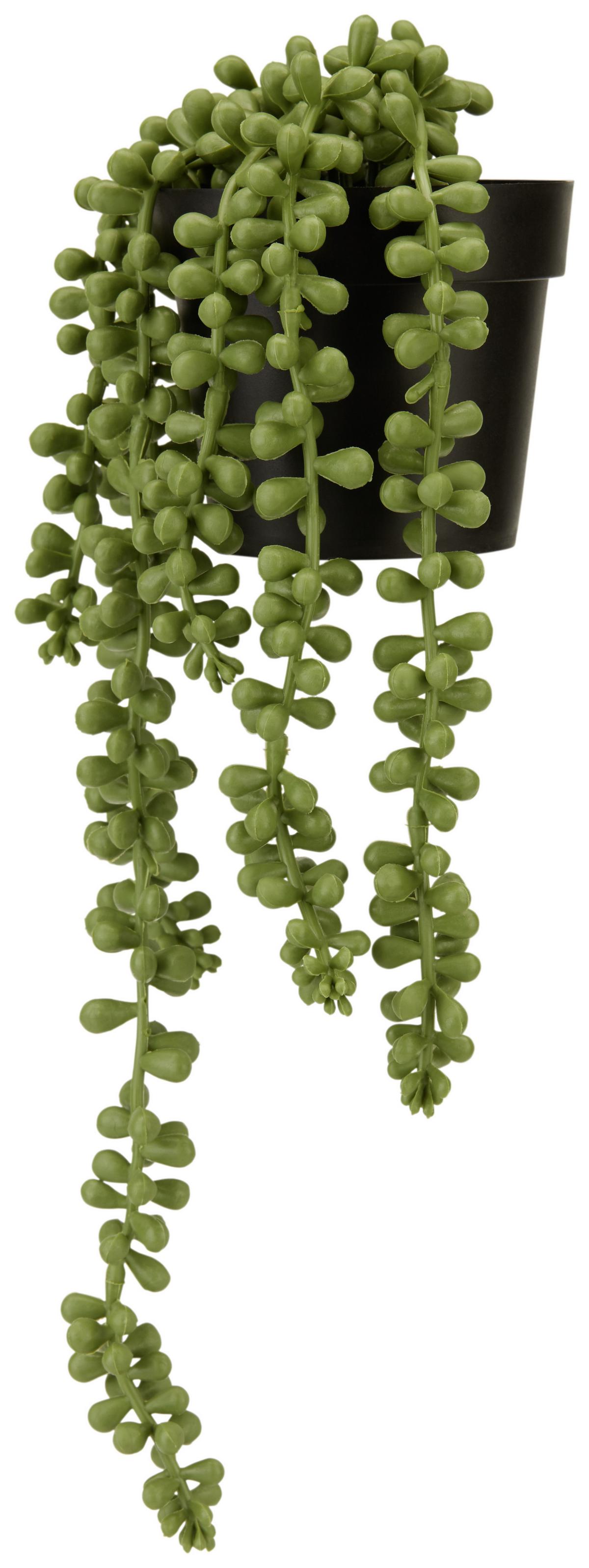 Kunstpflanze Sedumhänger Grün L: 34 cm, Casimir - Schwarz/Grün, Basics, Kunststoff (34cm) - Ondega