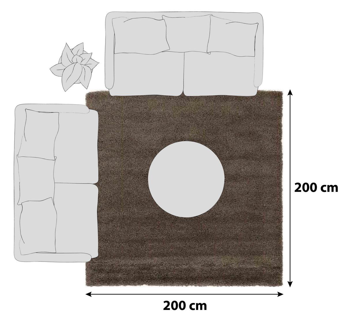 Hochflorteppich Fantasy Shaggy Hellbraun 200x200 Cm - Hellbraun, Basics, Textil (200/200cm) - Novel