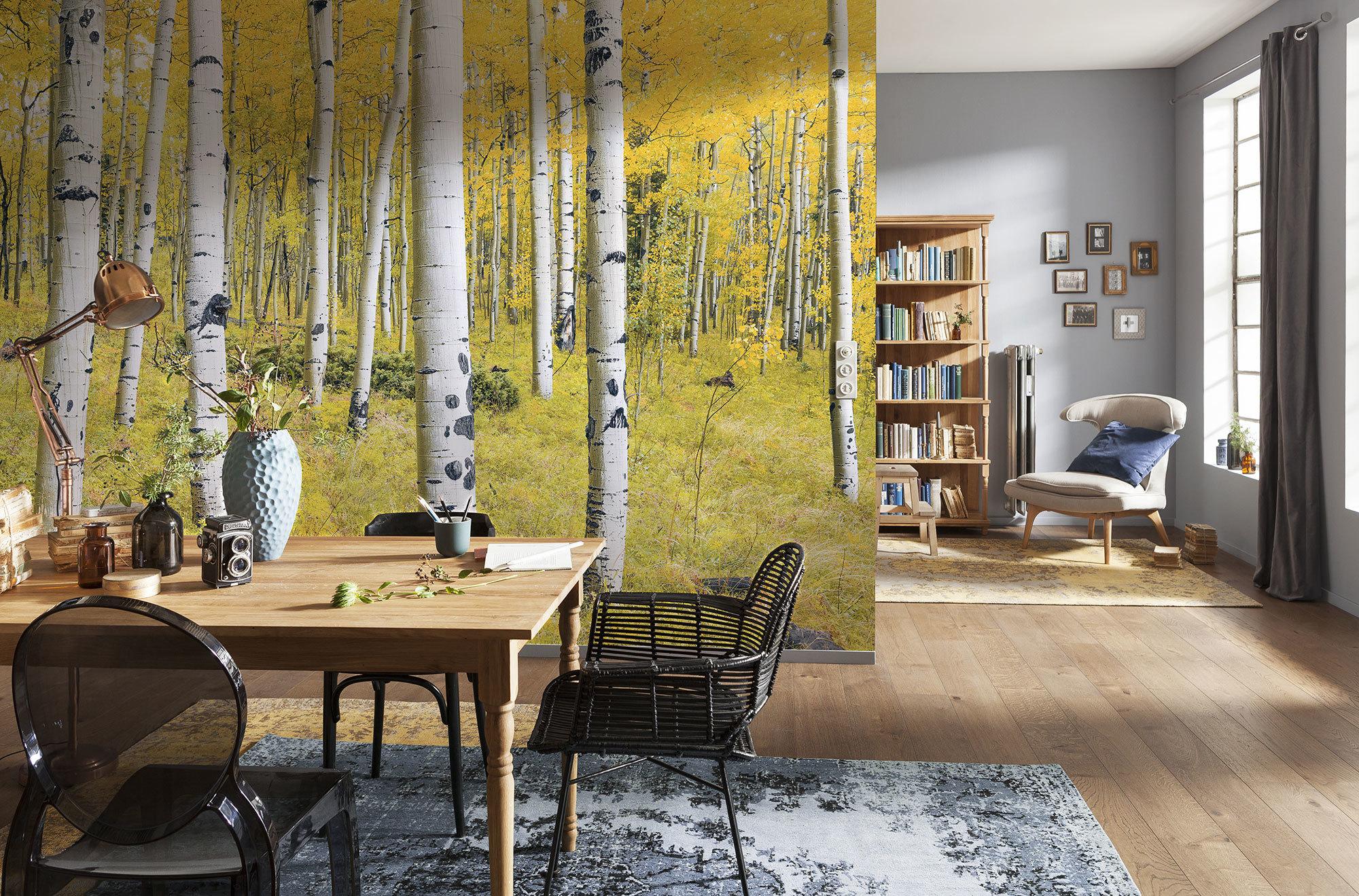 Vliestapete Sh069-Vd4 Orange Forest - Natur (400/250cm)