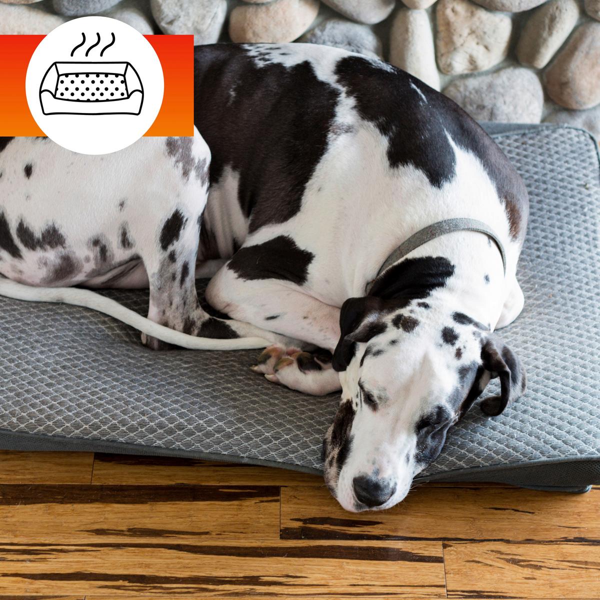 Stoffschutz Oa Odour Removal 500 Ml - Basics, Kunststoff (7,5/200/11cm)