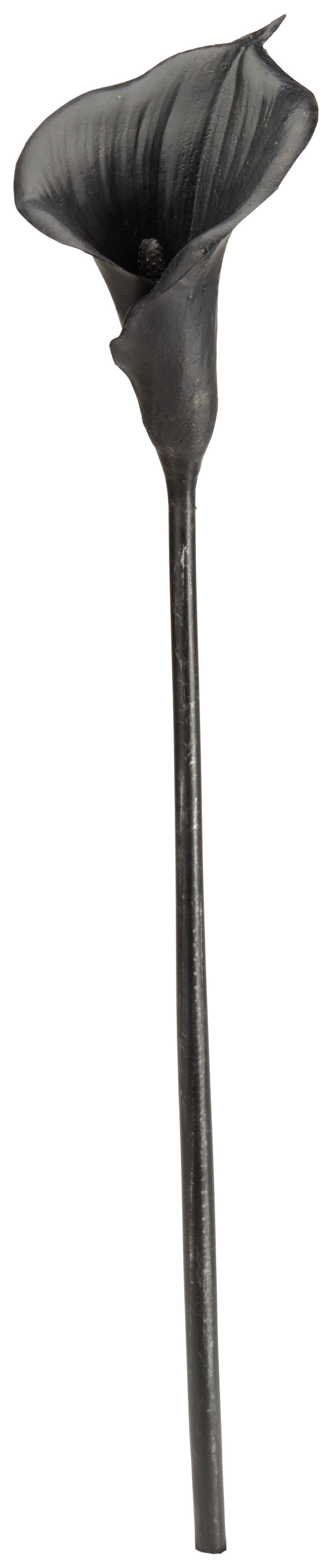 Calla Sia H: Ca. 68cm, Schwarz - Silberfarben/Goldfarben, MODERN, Kunststoff (68cm)