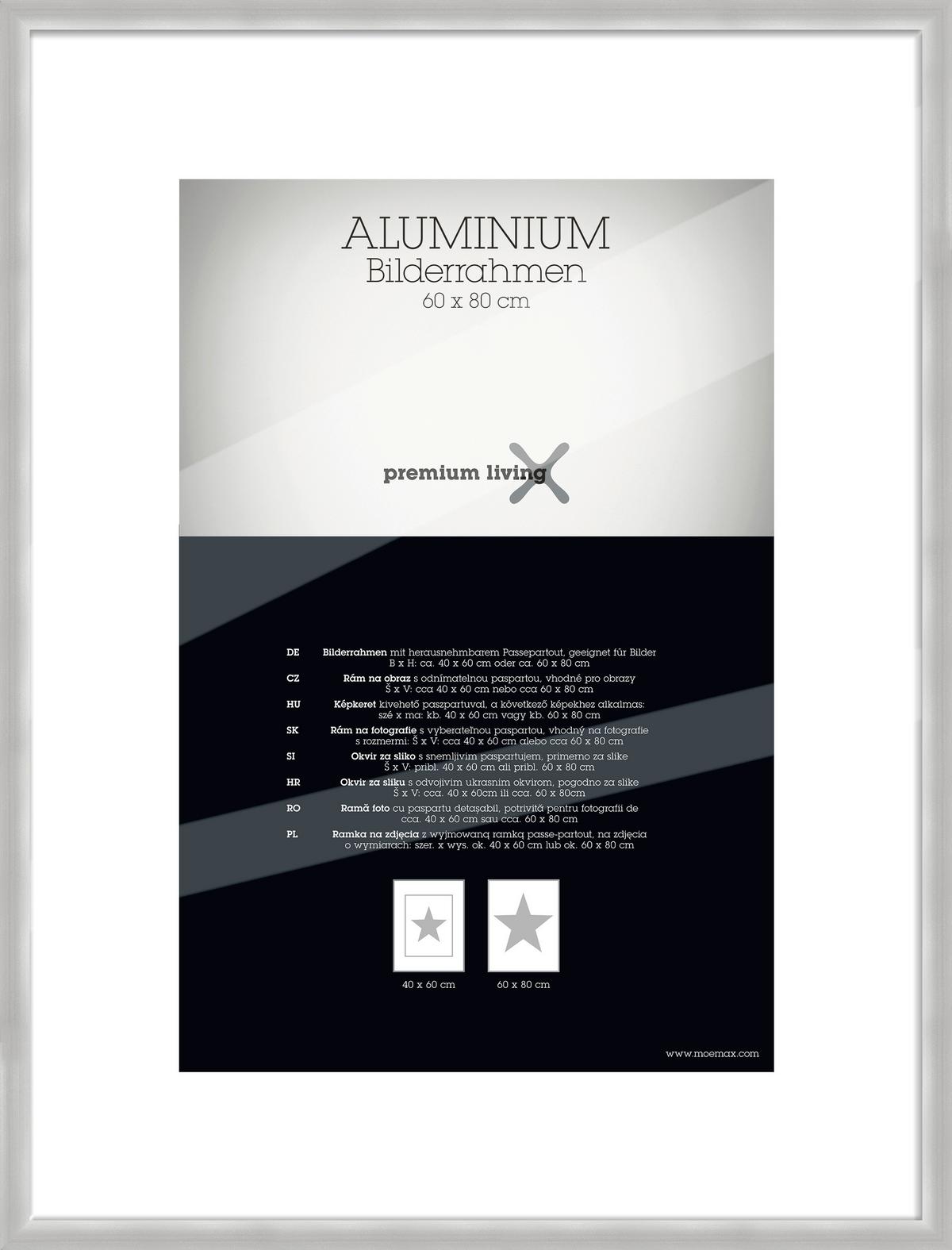 Rám na obrazy 63,1/83,1 cm - barvy stříbra, Basics, kov (63,1/83,1/2.2cm) - Premium Living