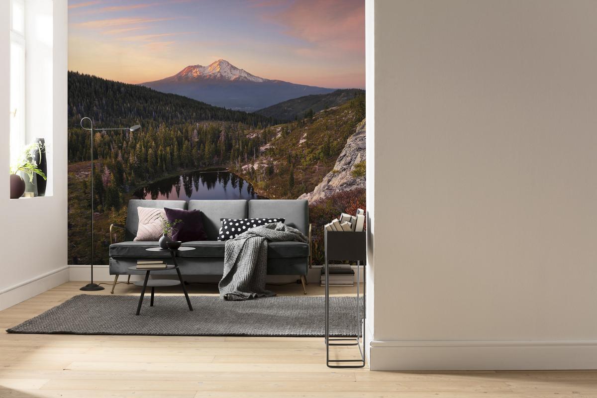 Fototapete Between The Light - Multicolor, Trend, Textil (450/280cm)