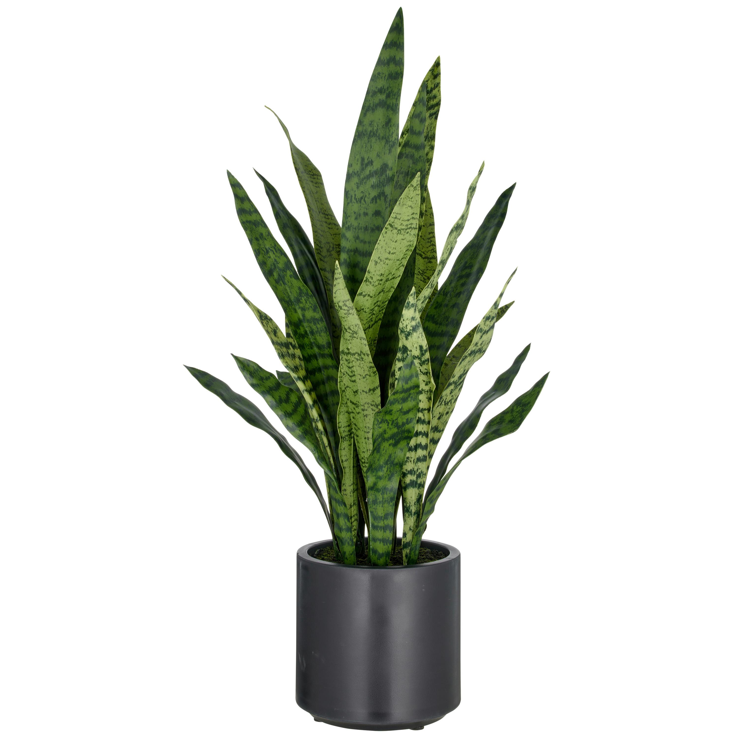 Kunstpflanze Grün Schwarz B: 25 cm - Schwarz/Grün, Basics, Kunststoff (25/90/25cm) - P & B