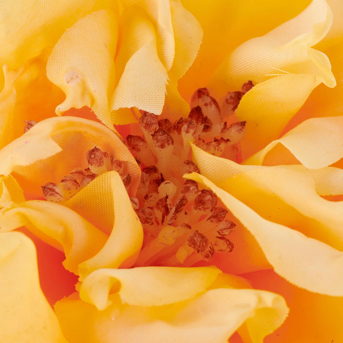 Ruža ROSE II -PAZ- - marhuľová/zelená, Basics, kov/textil (63cm) - Mömax