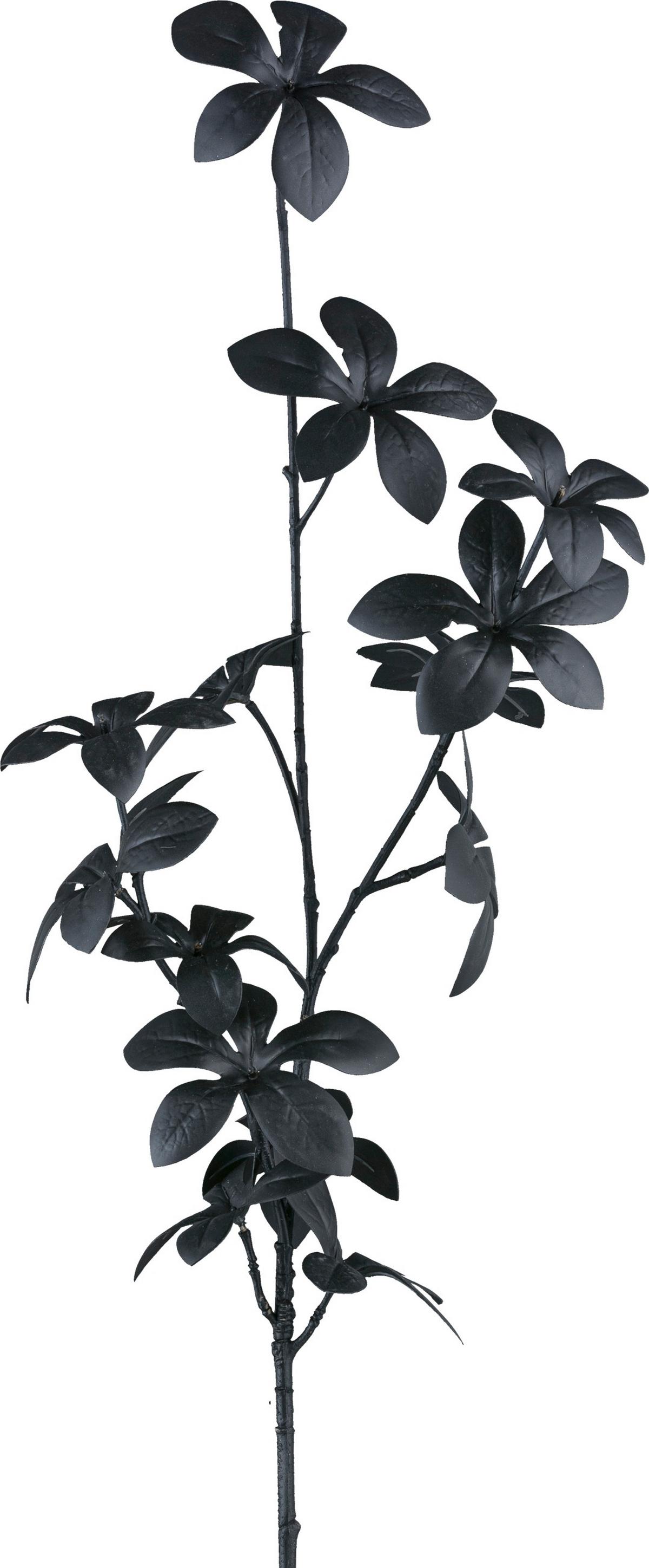 Dekozweig Aralie - Schwarz, KONVENTIONELL, Kunststoff (94cm)