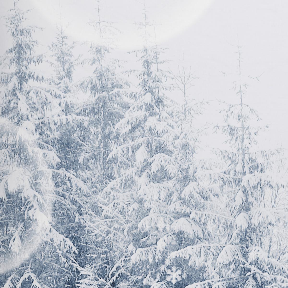 Bettwäsche Snowy - Blau/Weiß, MODERN, Textil - Luca Bessoni