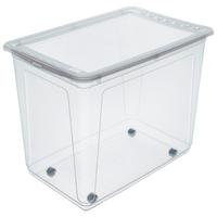 Aufbewahrungsbox Bert + Deckel Kunststoff 59x42x39 cm - Transparent, Basics, Kunststoff (59/42/39cm) - Homezone