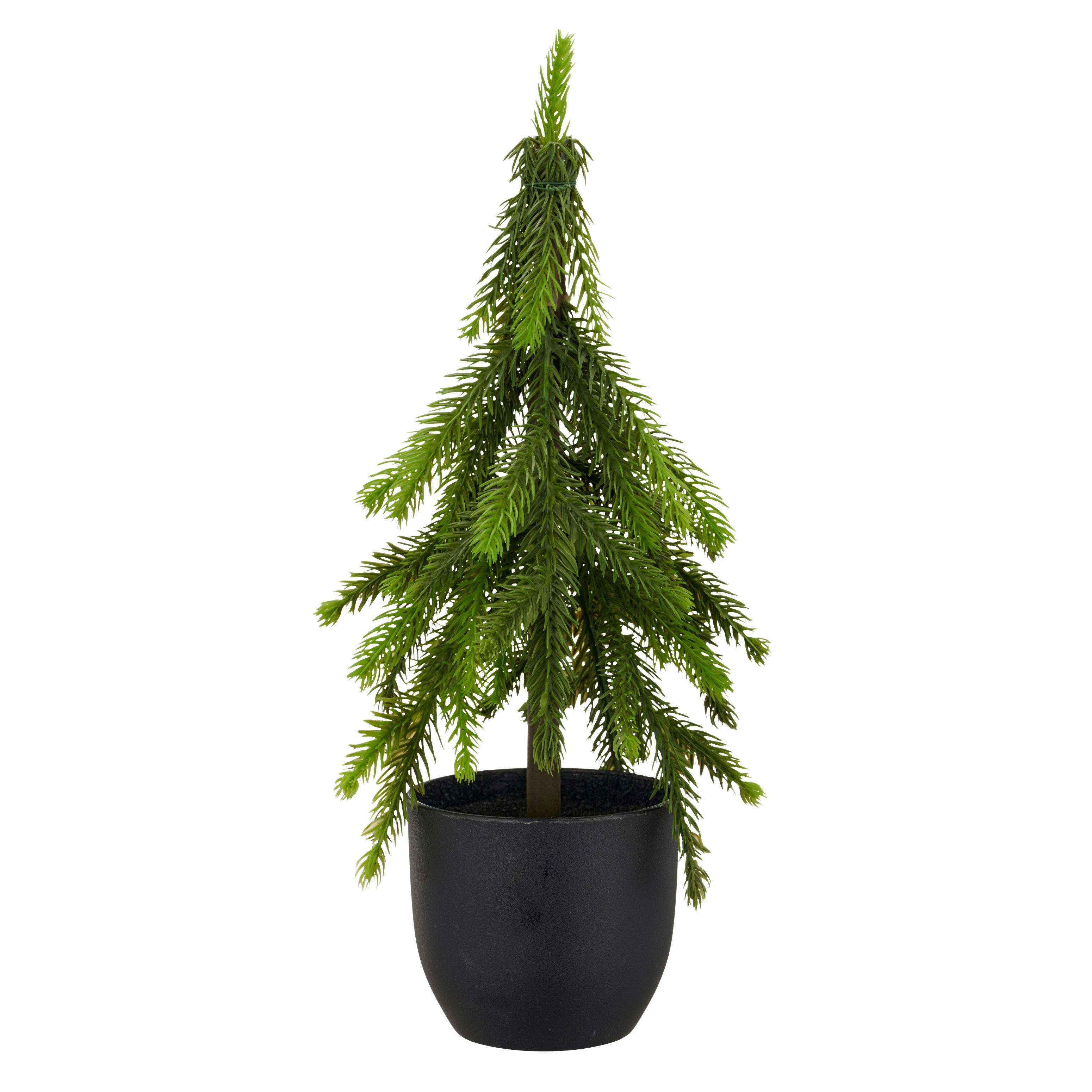 Umelá rastlina výška 37 cm - zelená, Basics, plast (37cm) - Mömax