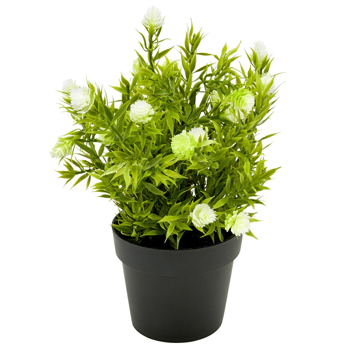 Kunstpflanze Weiß/Grün H: 23 cm Im Topf, Cassandra - Schwarz/Weiß, Basics, Kunststoff (15/23cm) - Luca Bessoni