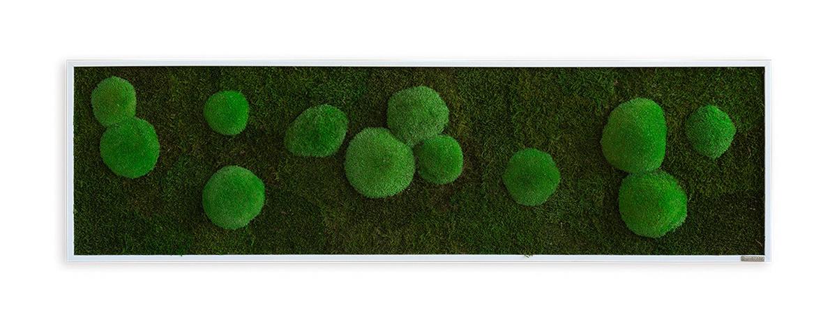 Moosbild Grün B: 140 cm - Weiß/Grün, Basics, Naturmaterialien/Holz (140/40/6cm)