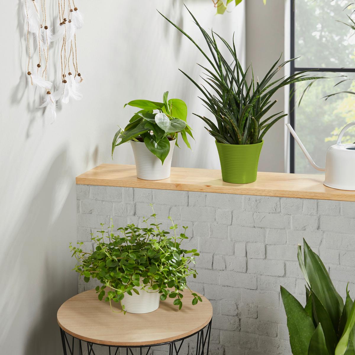 Übertopf Agneta - Salbeigrün/Hellgrau, KONVENTIONELL, Keramik (12/10,2cm) - Luca Bessoni