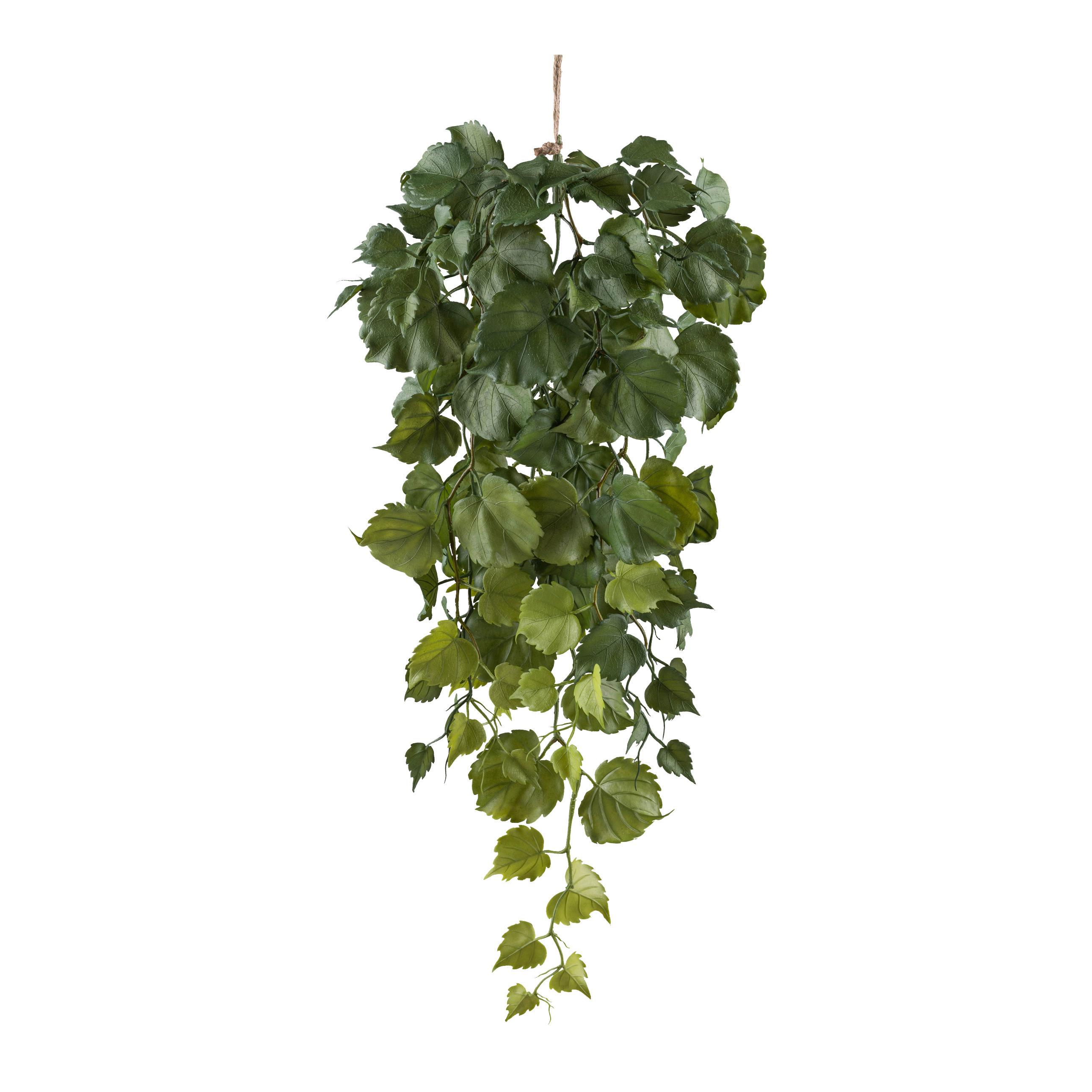 Kunstpflanze Hängepflanze Grün, H: 65 cm - Grün, Design, Kunststoff (65cm) - P & B