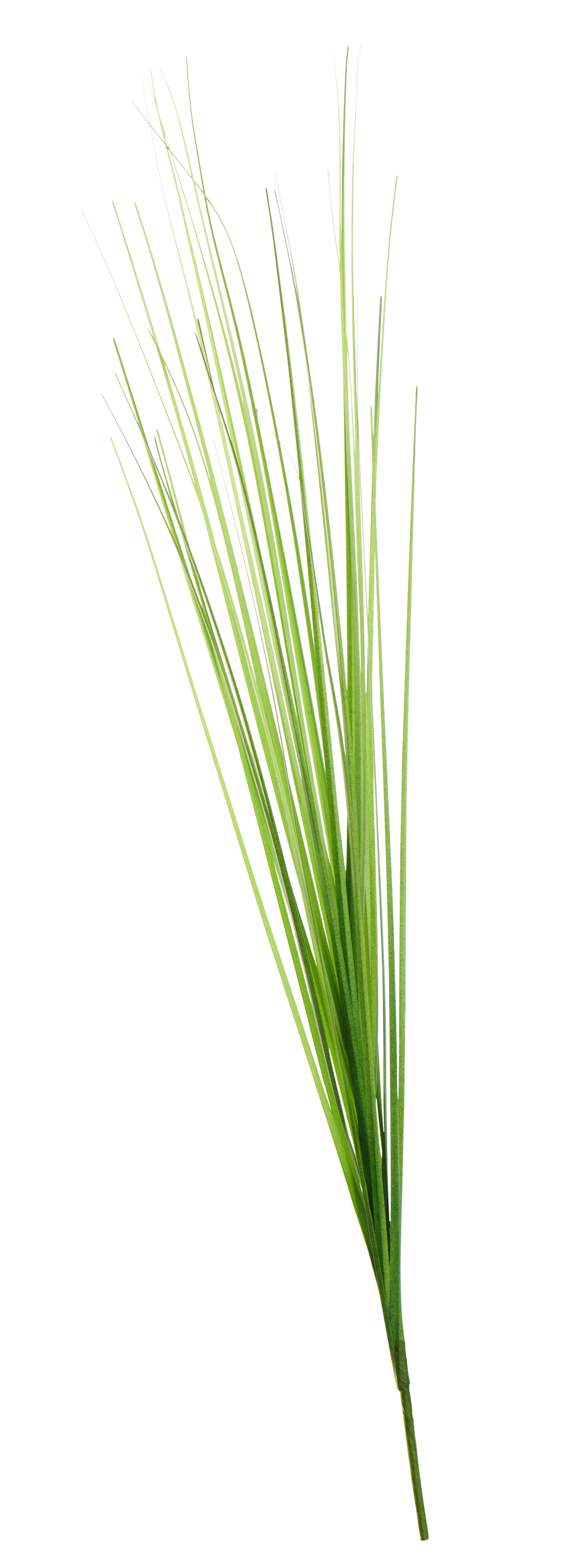 Kunstpflanze Isolepsiszweig Grün L: 70 Cm, Aina - Basics, Kunststoff (70cm)
