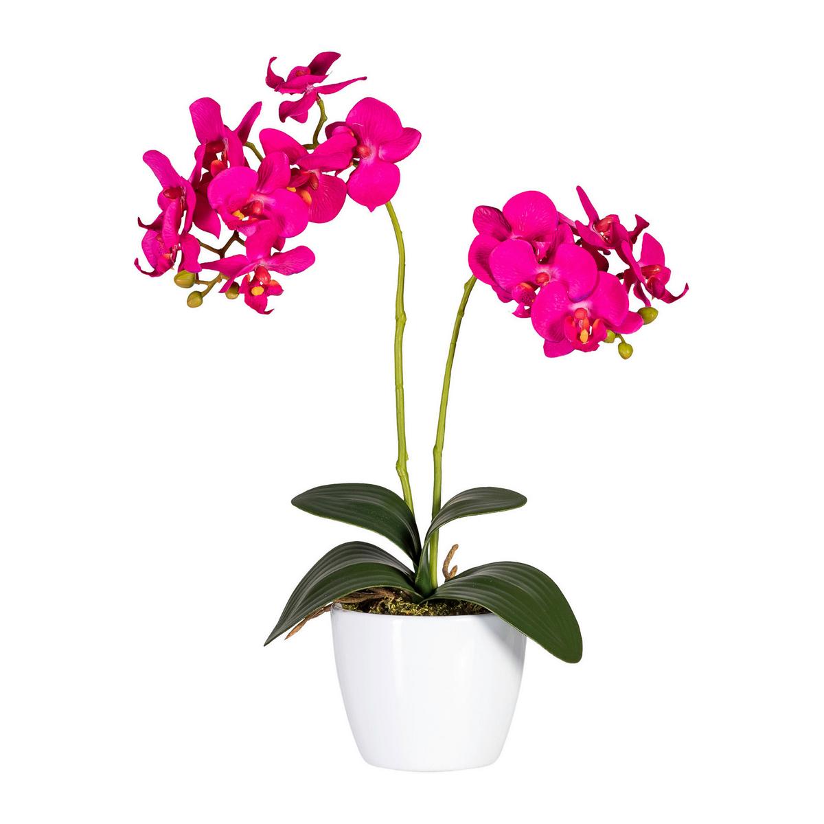 Kunstpflanze Orchidee Bunt H: 40 Cm Im Topf, Sofie - Lila/Weiß, KONVENTIONELL, Keramik/Kunststoff (40cm)