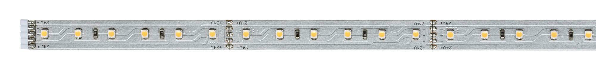 LED-Streifen L: 1 M dimmbar - Silberfarben, Basics, Metall (100/0.3cm) - Paulmann