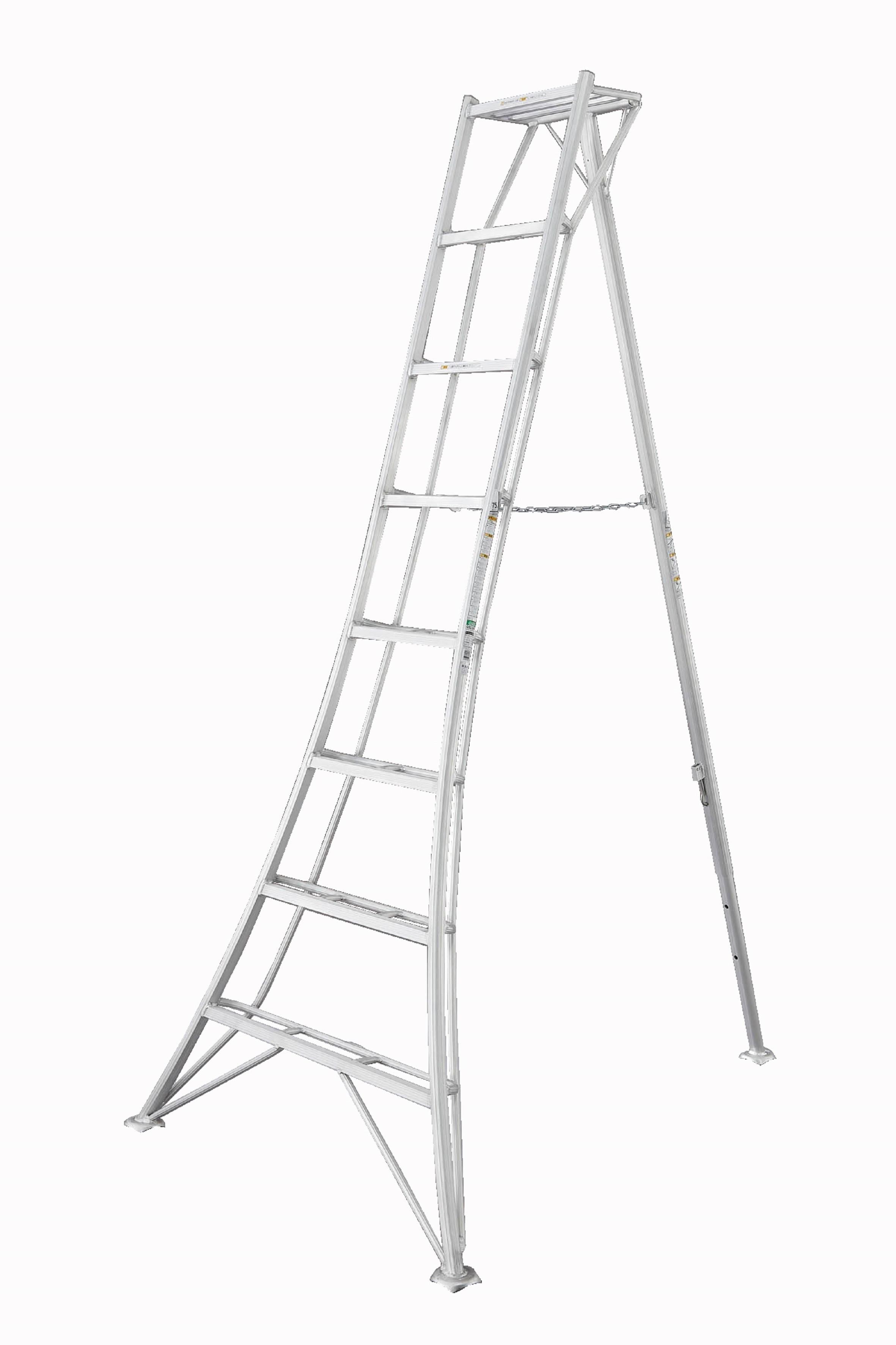 Leiter 3-Holm-Gartenleiter 240cm - Silberfarben, Basics, Metall (125/240/20cm)