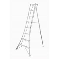 Leiter 3-Holm-Gartenleiter 240cm - Silberfarben, Basics, Metall (125/240/20cm)