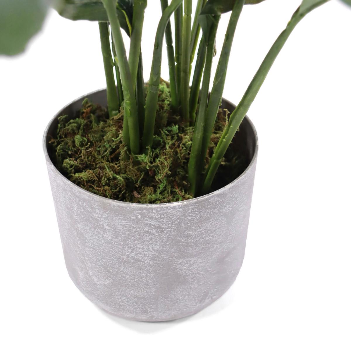 Kunstpflanze Spathiphyllum Weiß/Grün B: 55cm - Weiß/Grau, MODERN, Kunststoff (55/60/40cm) - MID.YOU