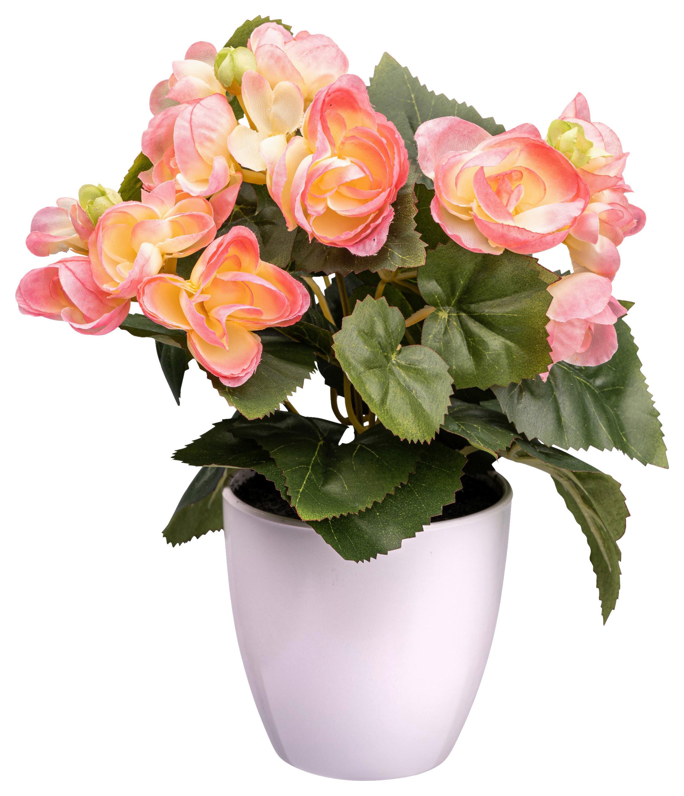 UMĚLÁ ROSTLINA BEGONIENBUSCH I - oranžová/bílá, Konvenční, plast (24cm) - Modern Living
