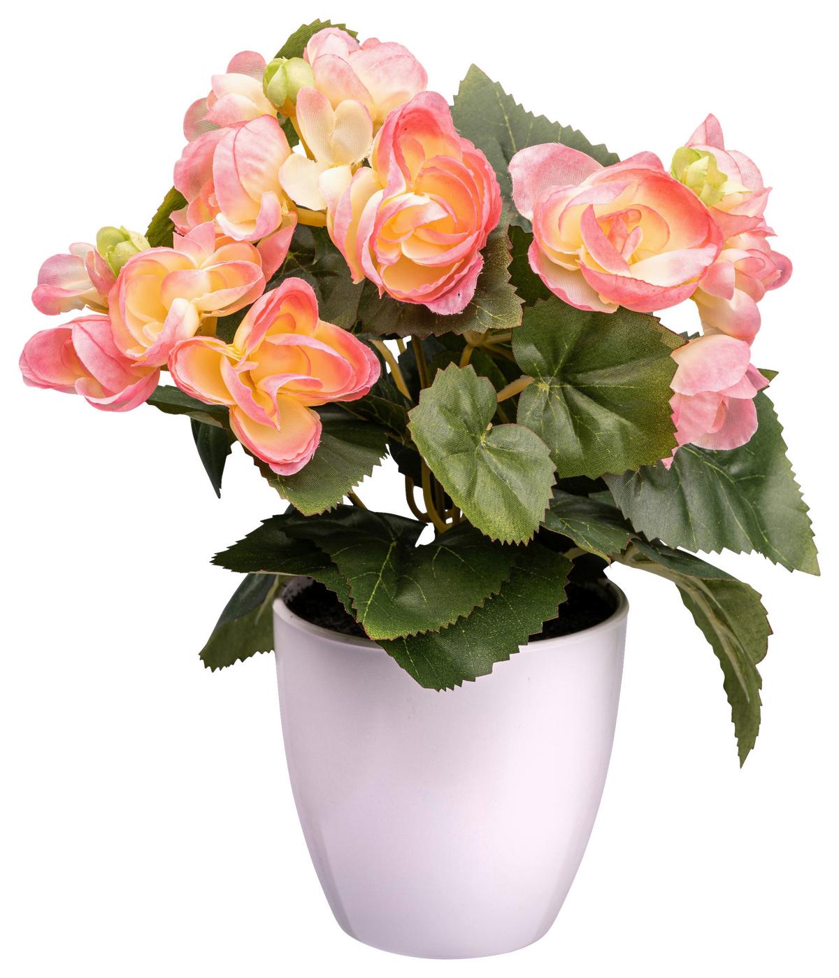 UMĚLÁ ROSTLINA BEGONIENBUSCH I - oranžová/bílá, Konvenční, plast (24cm) - Modern Living