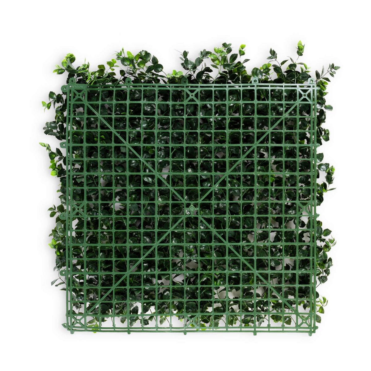 Wandverkleidung Kunstpflanze - Mintgrün, Trend, Kunststoff (50/50cm) - FloorDirekt