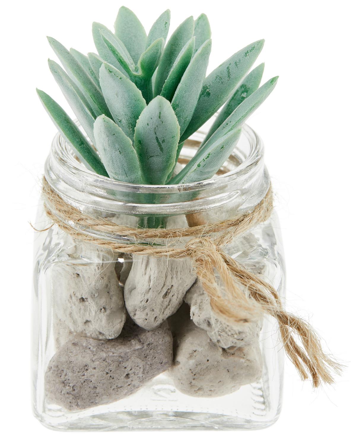 Kunstpflanze Sukkulente Grün L: 8,5 Cm, Haviva - Klar/Grau, MODERN, Glas/Naturmaterialien (5,1/8,5cm) - Luca Bessoni