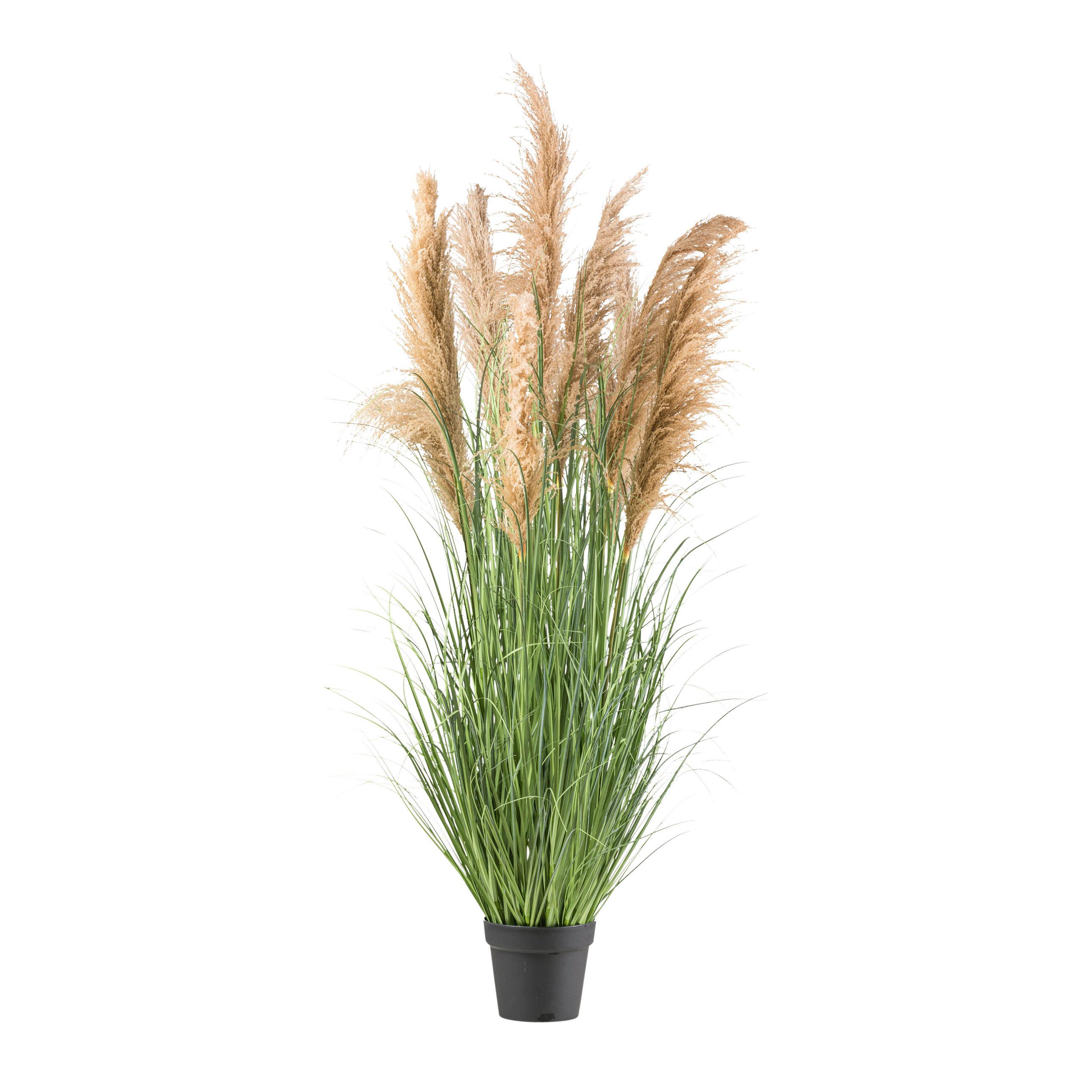 Kunstpflanze Gräser Braun/grün/schwarz, 165 Cm - Schwarz/Braun, Design, Kunststoff (165cm) - P & B