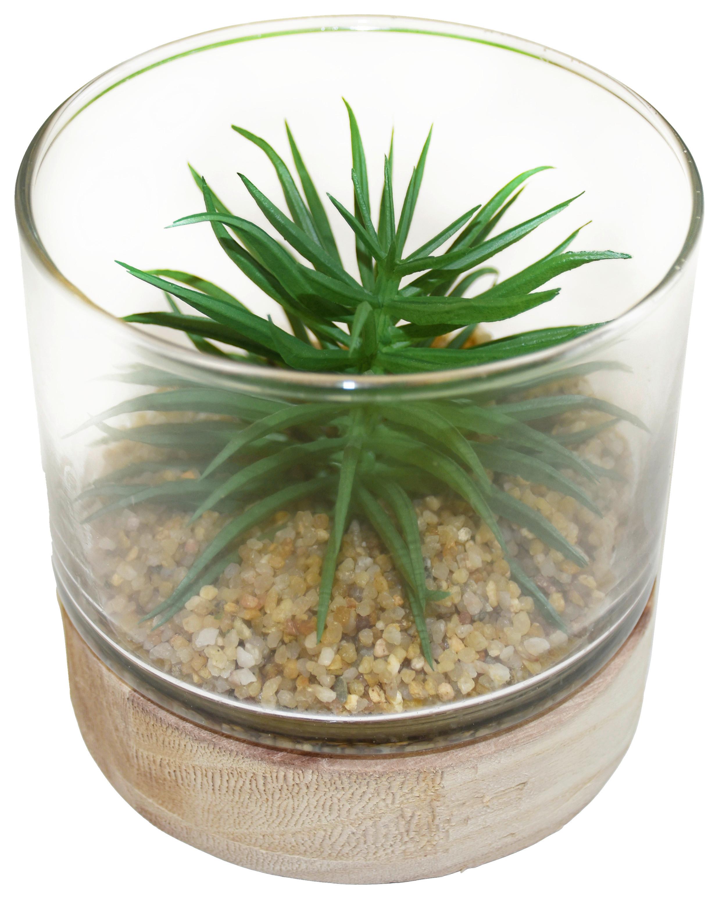 Umělá rostlina sukulent, 10/10cm - zelená, Basics, dřevo/plast (10/10cm) - Modern Living