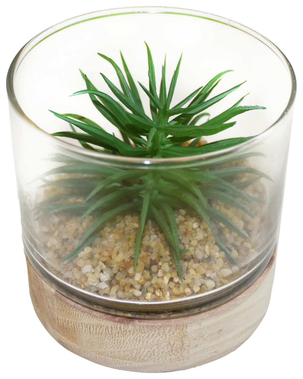 Umělá rostlina sukulent, 10/10cm - zelená, Basics, dřevo/plast (10/10cm) - Modern Living