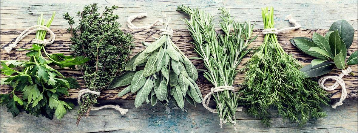 Leinwandbild Herbs On Wood Kräuter Grün/Braun 77x27 cm - Grün, Basics, Papier/Holzwerkstoff (77/27/2cm)