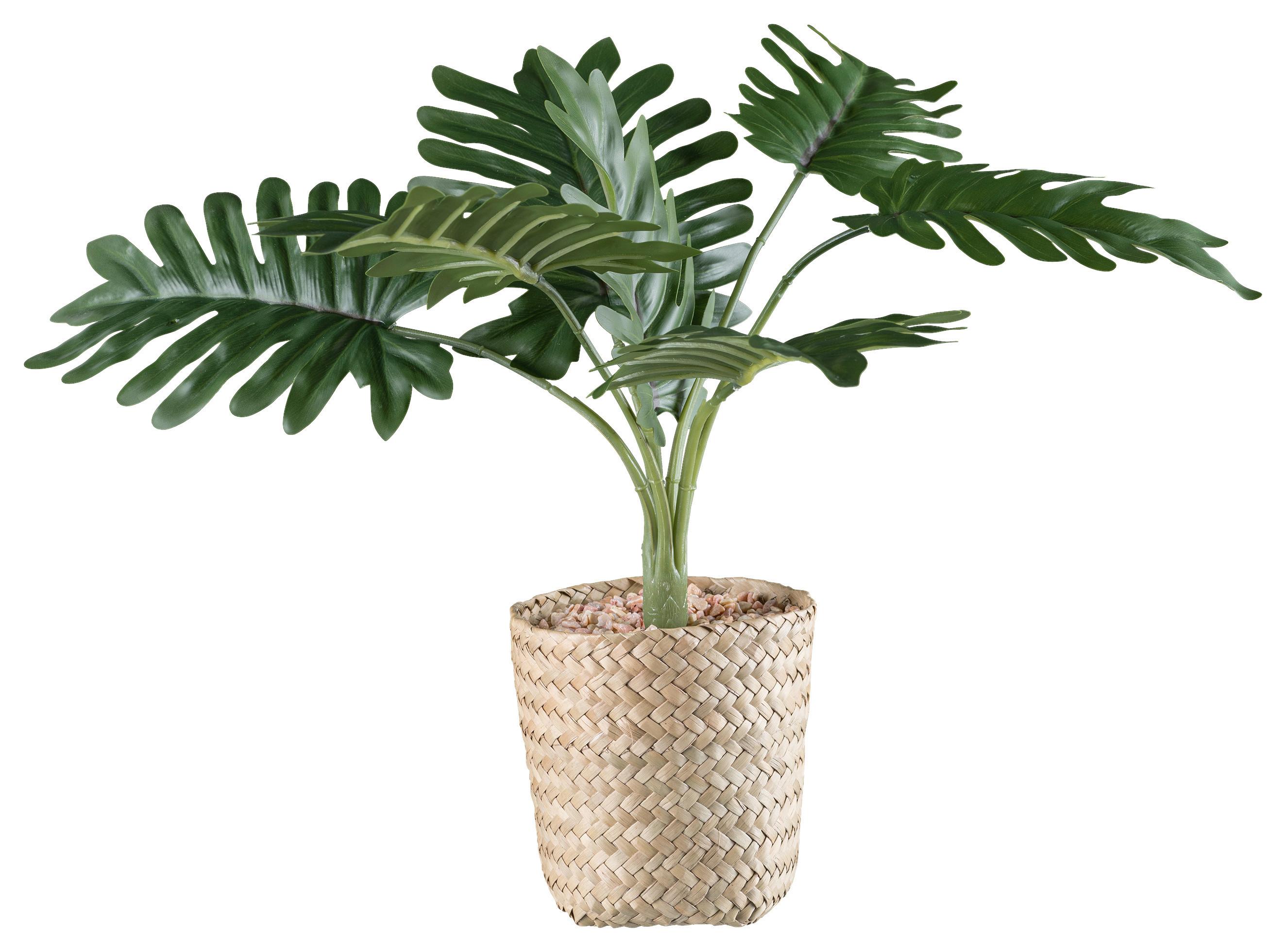 UMELÁ RASTLINA PHILODENDRON I - prírodná farba/zelená, Basics, plast/prírodné materiály (38cm) - Modern Living