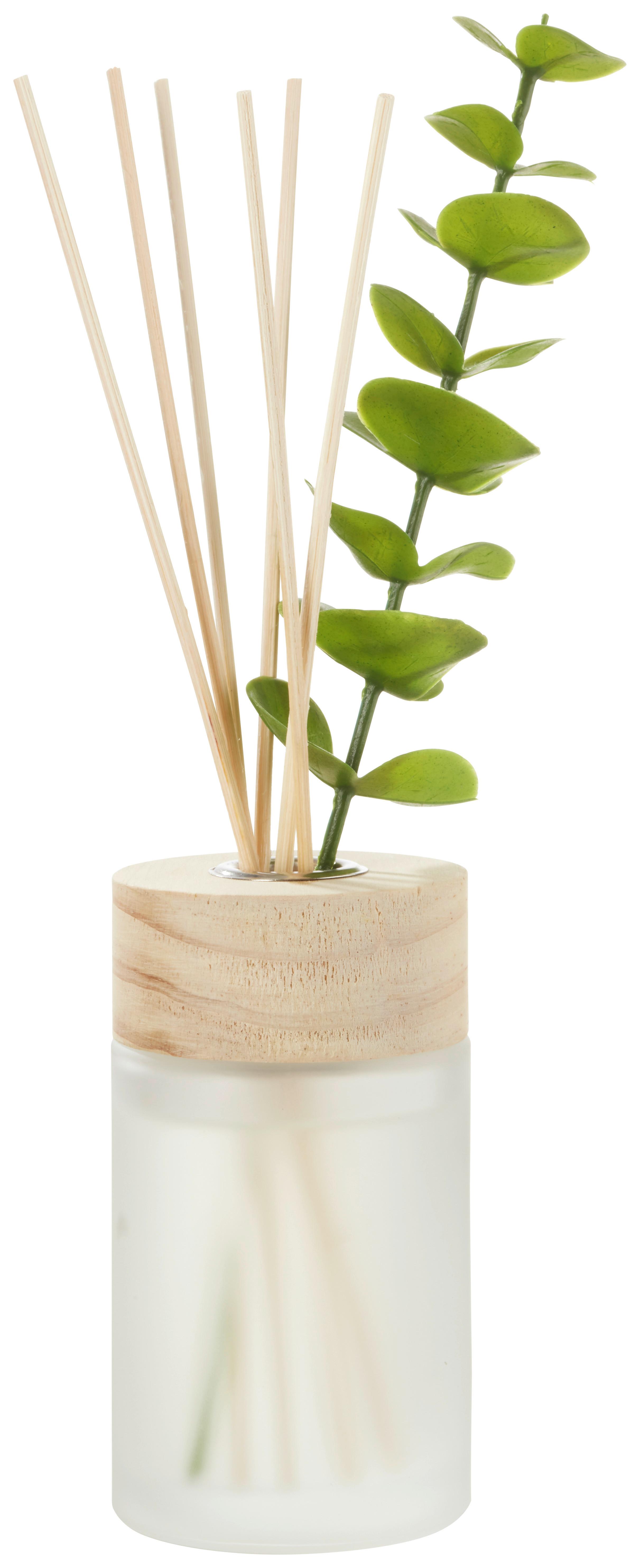 Aróma difuzér Calipto, 125ml - biela/zelená, Modern, drevo/prírodné materiály (7,5/25cm) - Modern Living