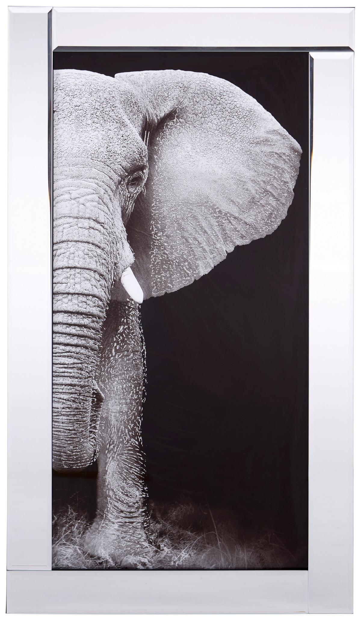 Bild Viska Tiere Schwarz/Weiß 38x68 cm - Schwarz/Weiß, Basics, Glas/Papier (38/68/2,3cm) - Luca Bessoni