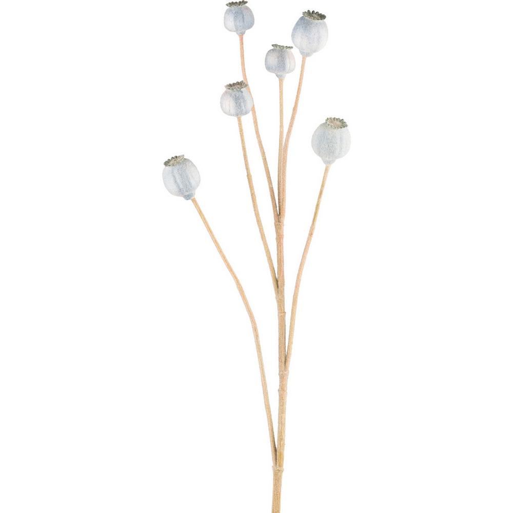 MÁK MOHN I