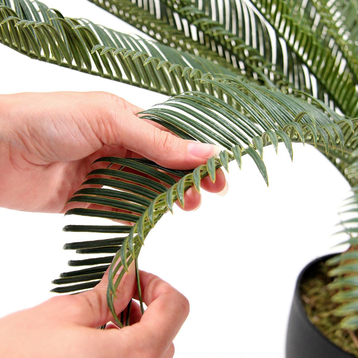 Kunstpflanze Cycas - Schwarz/Grün, Basics, Kunststoff/Textil (70/70/70cm) - MID.YOU