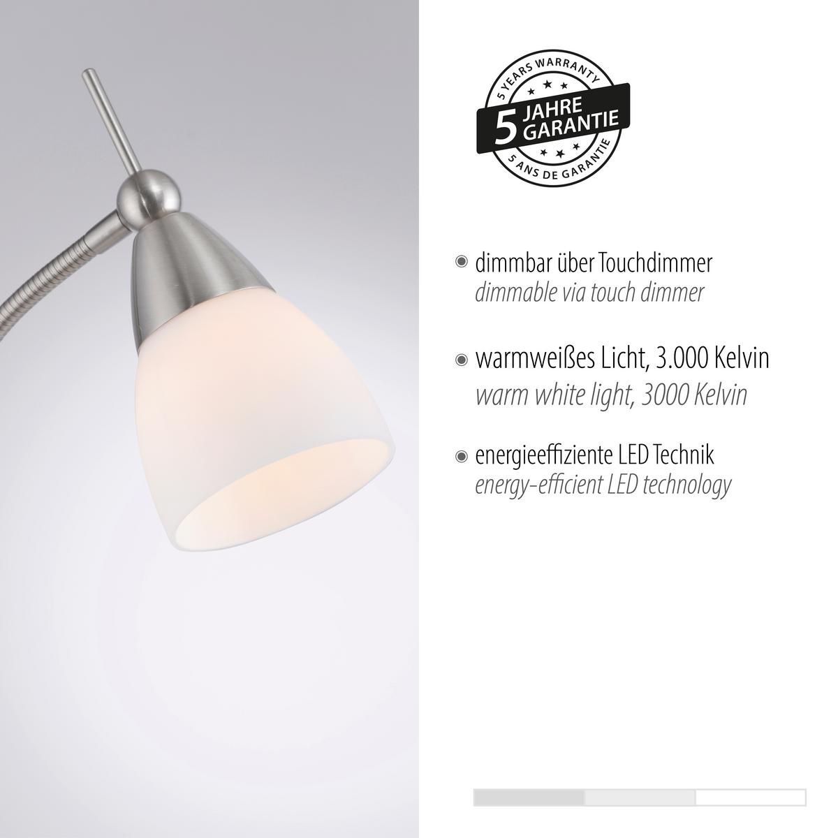 LED-Stehleuchte 400-55 Pino - Edelstahlfarben, Basics, Glas/Metall (74/74/163cm) - Paul Neuhaus