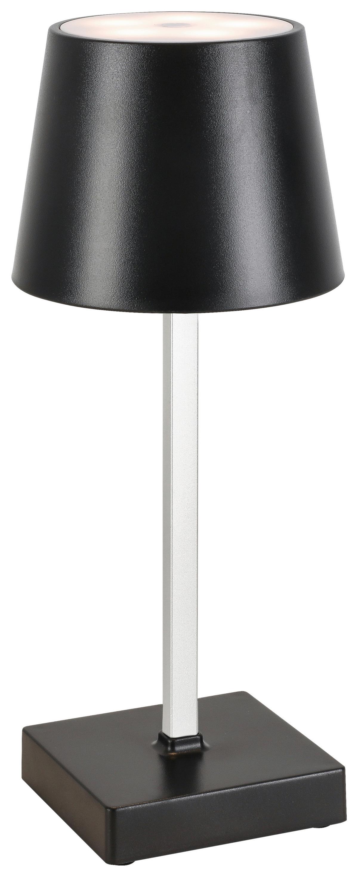 DEKORAČNÍ LED SVÍTIDLO GOPI - černá/barvy stříbra, Romantický / Rustikální, kov/plast (10,5/26cm) - Modern Living