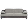 2-sitzer-sofa Titus Hellgrau/dunkelgrau - Dunkelgrau/Hellgrau, Design, Textil (205/80/104cm) - Livetastic