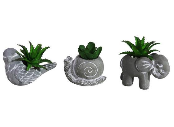 Sukkulente Suri - Grau/Grün, Basics, Kunststoff/Stein (9/5/9cm) Sukkulente Suri - Grau/Grün, Basics, Kunststoff/Stein (9/5/9cm)