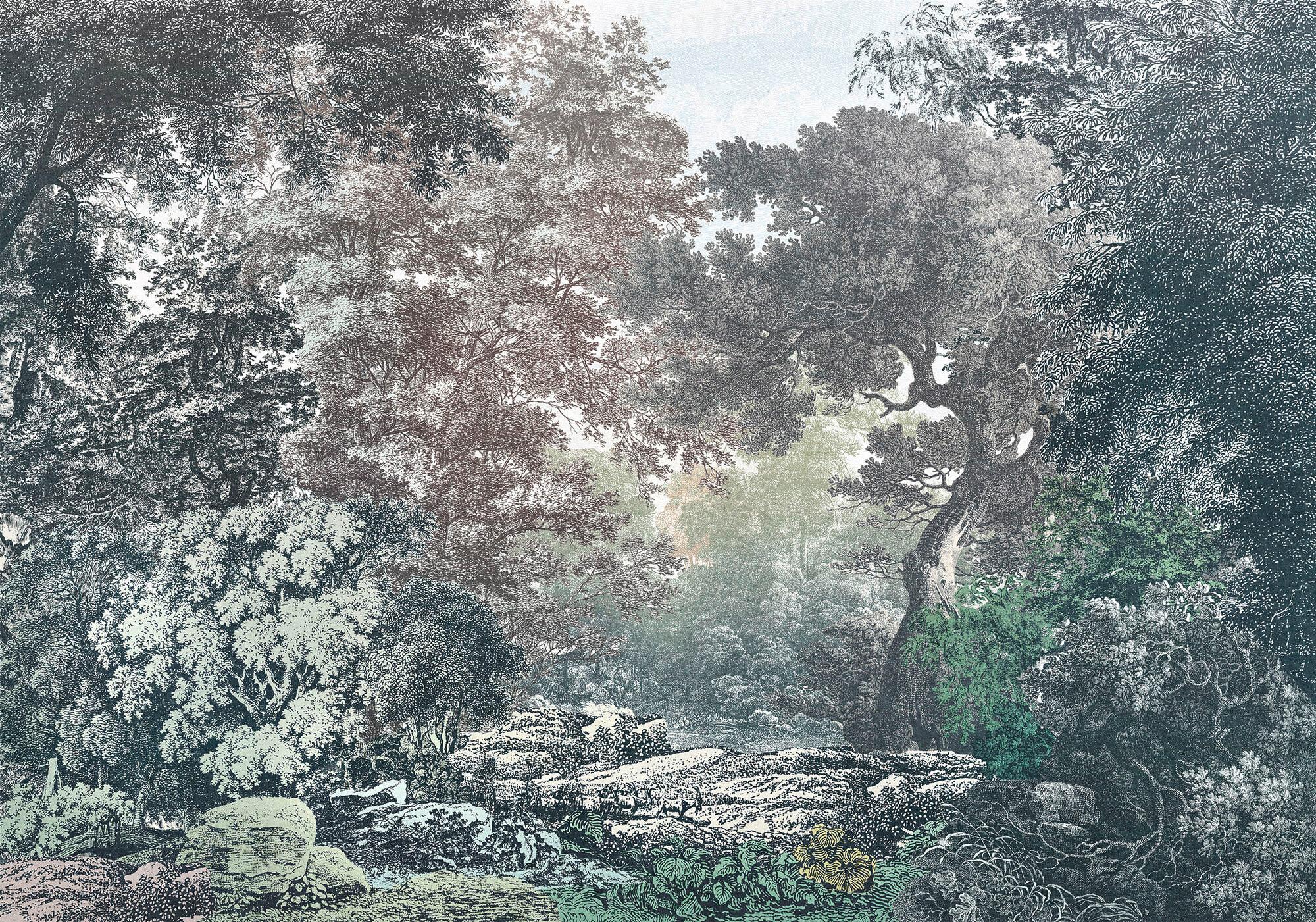 Fototapete R4-060 Fairytale Forest - Multicolor, Trend (400/280cm)