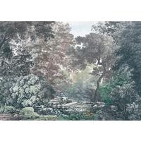 Fototapete R4-060 Fairytale Forest - Multicolor, Trend (400/280cm)